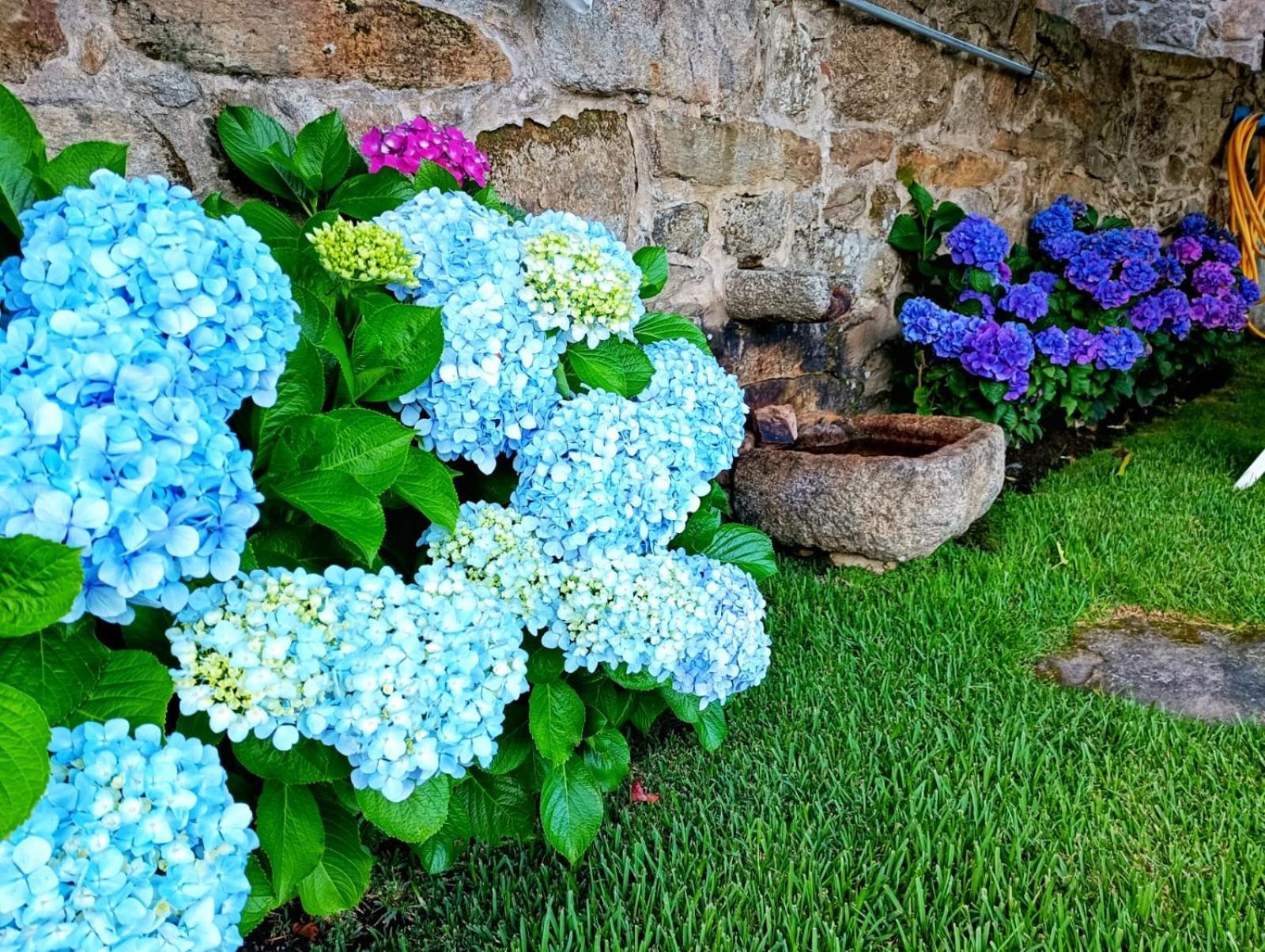 Remanso Azul Vila Moaña Exterior foto